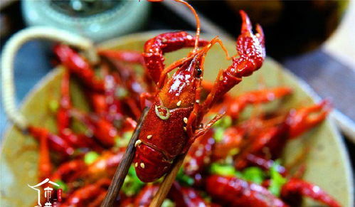 教你在家做麻辣小龍蝦,用這16種常見配料,吃完不再去大排檔